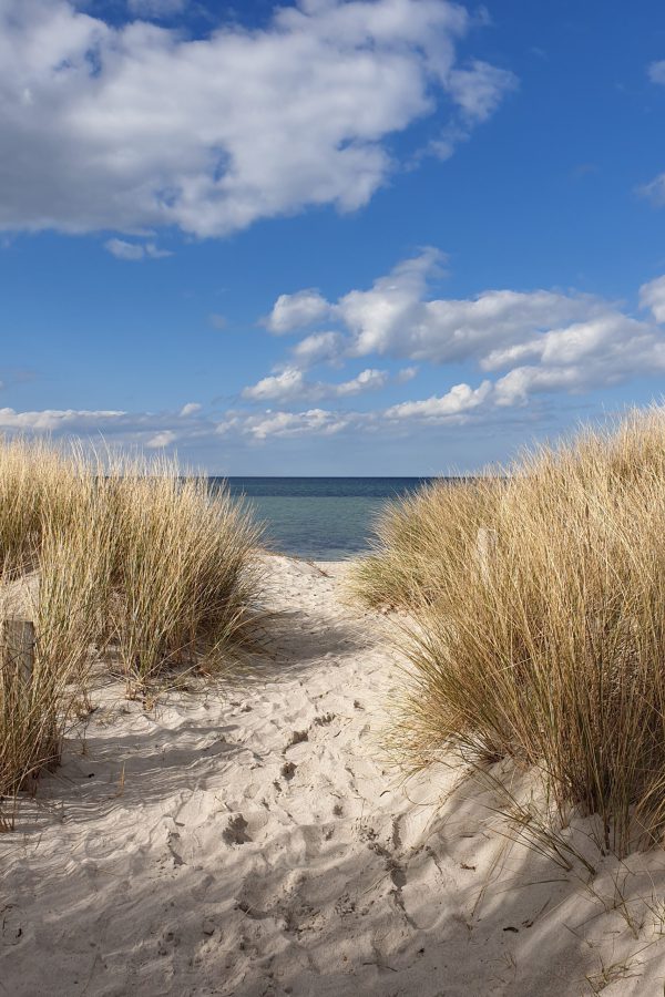 strand strand